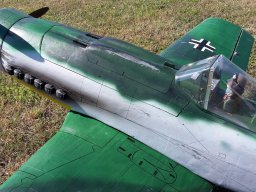 FW 190D