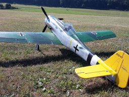 FW 190D