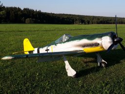 FW 190D