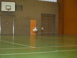 Indoorfliegen